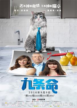 姐就是浪