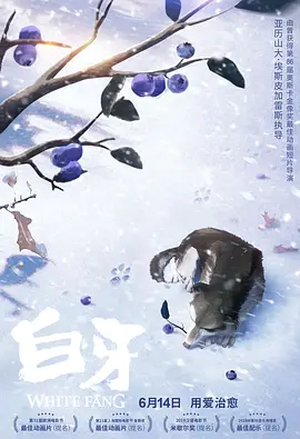 早野诗番号