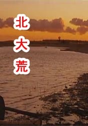 亚洲巨乳av