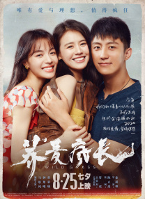 一级毛片免费一级直接观看