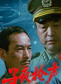 台湾佬视频